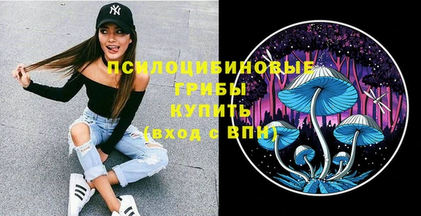 винт Абаза