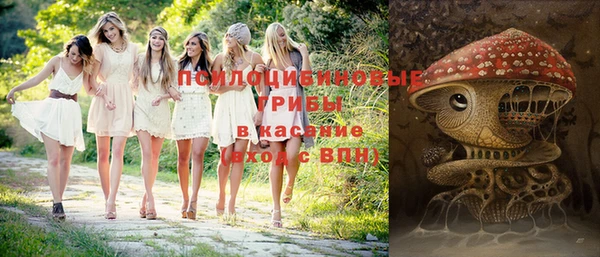 прущие грибы Алзамай