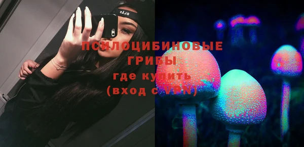 первитин Няндома