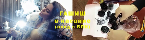 прущие грибы Алзамай