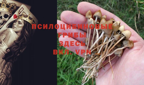 ALPHA-PVP Алексин