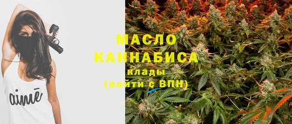 прущие грибы Алзамай