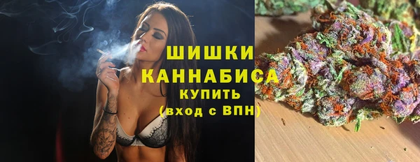 шишки Нягань