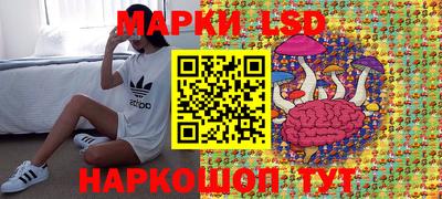 стаф Нальчик