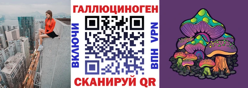 наркошоп  Сочи  Псилоцибиновые грибы GOLDEN TEACHER 