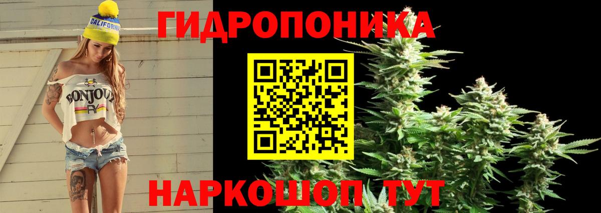 Шишки марихуана марихуана Сочи